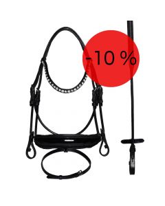 Emilia Horsewear Bridle