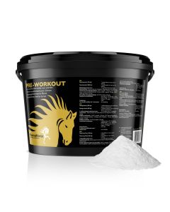 Pre workout horse