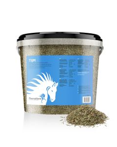 Thyme horse 