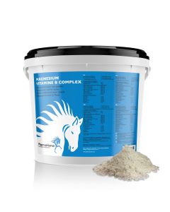 Magnesium Vitamin B complex horse