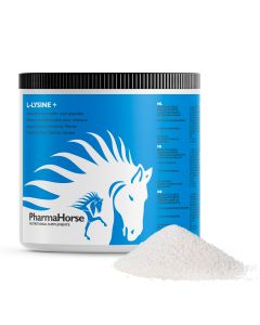 L-Lysine+ horse