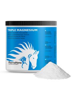 Triple Magnesium horse 