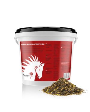 Herbal Respiratory Mix horse