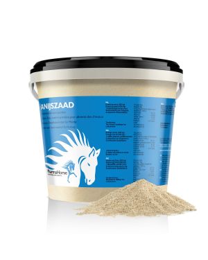 Aniseed horse