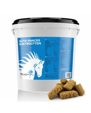 Nutri Snacks Electrolytes