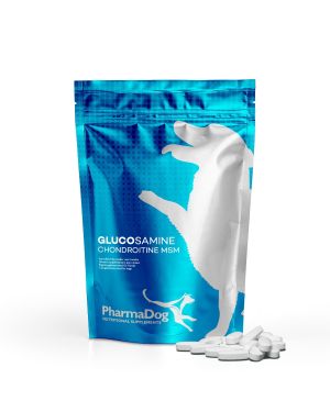 Glucosamine Chondroitin MSM for dogs