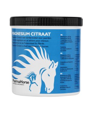 Magnesium horse