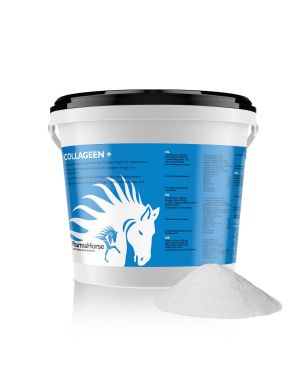 Collagen+ horse