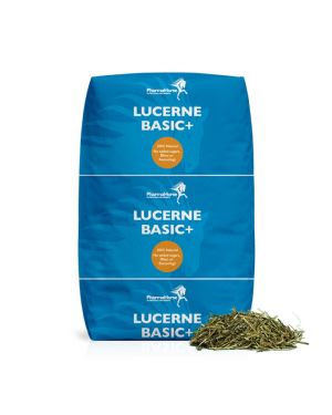 Lucerne Basic+ 