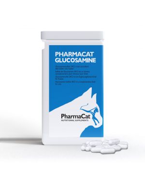 Glucosamine cat