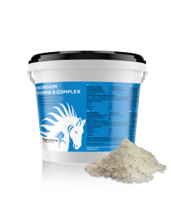 Magnesium Vitamin B complex horse