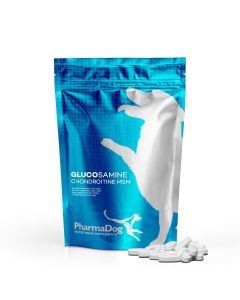 Glucosamine Chondroitin MSM for dogs